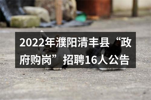 2022年濮阳清丰县“政府购岗”招聘16人公告 图片