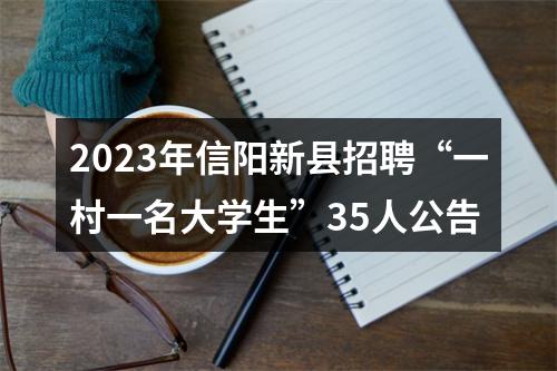 2023年信阳新县招聘“一村一名大学生”35人公告 图片