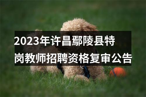 2023年许昌鄢陵县特岗教师招聘资格复审公告 图片