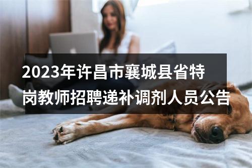 2023年许昌市襄城县省特岗教师招聘递补调剂人员公告 图片