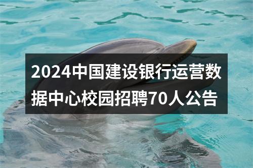 2024中国建设银行运营数据中心校园招聘70人公告 图片