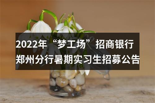 2022年“梦工场”招商银行郑州分行暑期实习生招募公告 图片