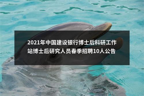 2021年中国建设银行博士后科研工作站博士后研究人员春季招聘10人公告 图片