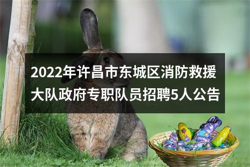 2022年许昌市东城区消防救援大队政府专职队员招聘5人公告 图片
