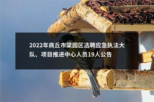 2022年商丘市梁园区选聘应急执法大队、项目推进中心人员19人公告 图片